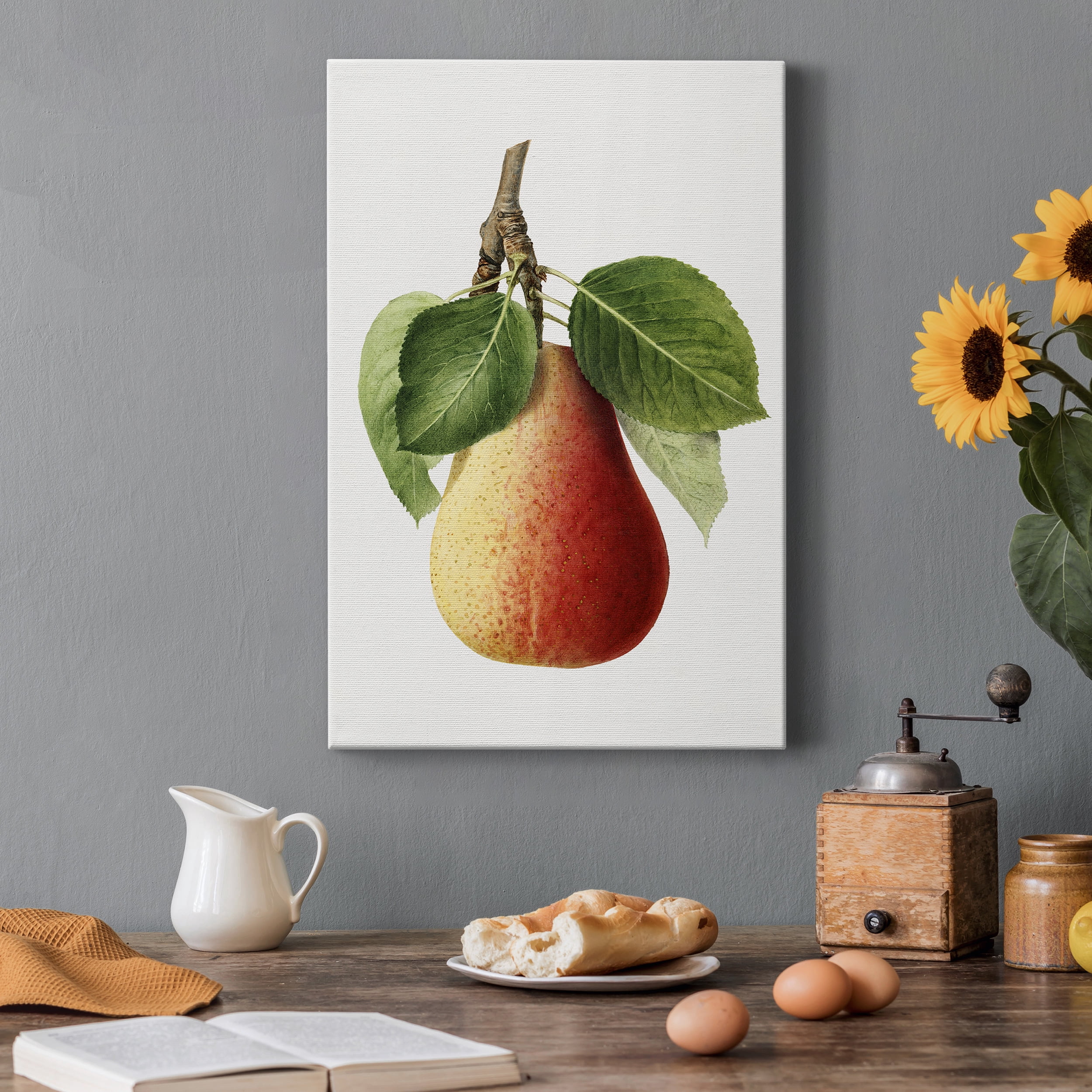 Vintage Pear Illustration II Premium Gallery Wrapped Canvas - Ready to Hang - 32 x 48
