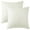 Beige, variant on REGALWOVEN Pack of 2 Corduroy Throw Pillow Covers, Soft Decorative Square Cushion Covers for Sofa Green 18" x 18"