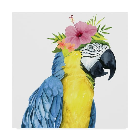 Trademark Fine Art 'Tropical Halo II' Canvas Art by Grace Popp