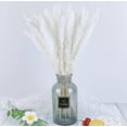 thumbnail image 4 of Dried Pampas Grass Decor, 80 PCS Pampas Grass Contains Bunny Tails Dried Flowers, Reed Grass Bouquet for Wedding Boho Flowers Home Table Decor, Rustic Farmhouse Party (White and Brown), 4 of 8