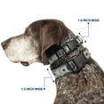 thumbnail image 2 of Buckle-Down Pet Collar, Dog Collar Plastic Buckle, 100 Dollar Bills, 9.5 to 13 Inches 1.0 Inch Wide, 2 of 8