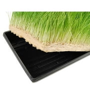 Micro-Mats Hydroponic Grow Pads - For Organic Production - 10 Pack - Plant & Seed Germination: Wheatgrass, Microgreens, More - For 20 x 10 Greenhouse Trays