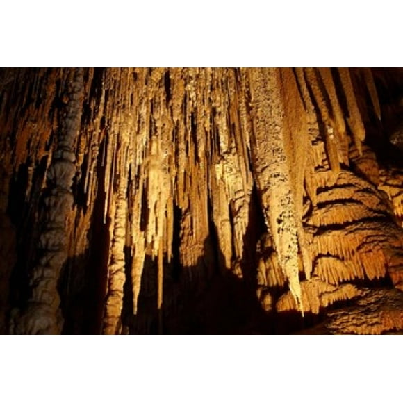Stalactites, Newdegate Cave, Hastings Caves, Australia Poster Print by David Wall (29 x 19)