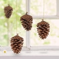 thumbnail image 3 of 9-10cm 6pcs Natural Pine Cones, Large Pinecone,Natural Pinecone Ornaments Big Pinecones for Autumn and Winter Decor, 3 of 5