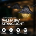 thumbnail image 2 of Globe Electric Palma 5W 10 Light G12 Incandescent String Light Set, Clear, 2 of 7