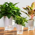 thumbnail image 2 of Flower Plant Pot Self Watering Planter Transparent Planting Flower Pot Water Storage Basin New, 2 of 10