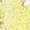 Yellow, variant on iiniim Women Sequins Latin Dance Outfits Sleeveless Tassel Leotard Fringed Tango Salsa Dance Dress with Gloves Yellow XXL