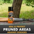 thumbnail image 4 of Spectracide Pruning Seal, Aerosol Spray, Protects Pruned Tree & Shrub Limbs, Waterproofs Pots, 13 oz, 4 of 11