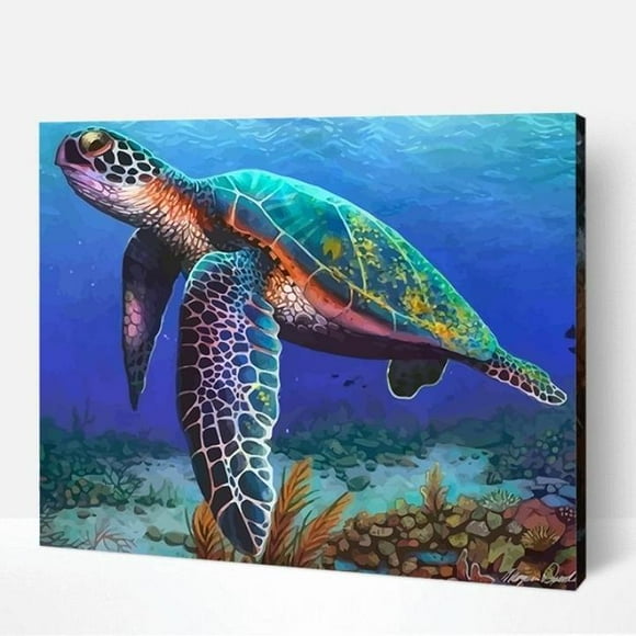 Claire The Turtle Paint By Numbers