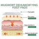 thumbnail image 5 of Argy Wormwood Foot Patch Help Sleep Relieve Physical And Mental Fatigue Foot Deep Cleansing Massage Nursing Adhesive Bandage - --310976517432, 5 of 5