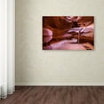 thumbnail image 3 of Trademark Fine Art "Weeping Sand" Canvas Art by Pierre Leclerc, 3 of 3