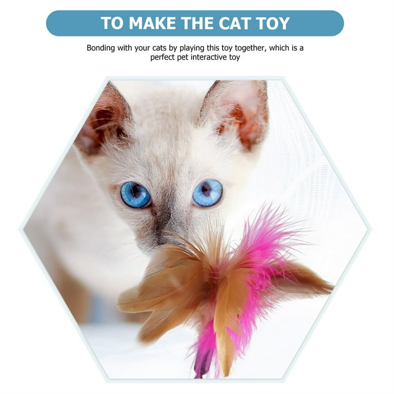 Catnip collar hotsell
