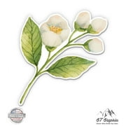 Jasmine - 3" Vinyl Sticker - For Car Laptop I-Pad Phone Helmet Hard Hat - Waterproof Decal