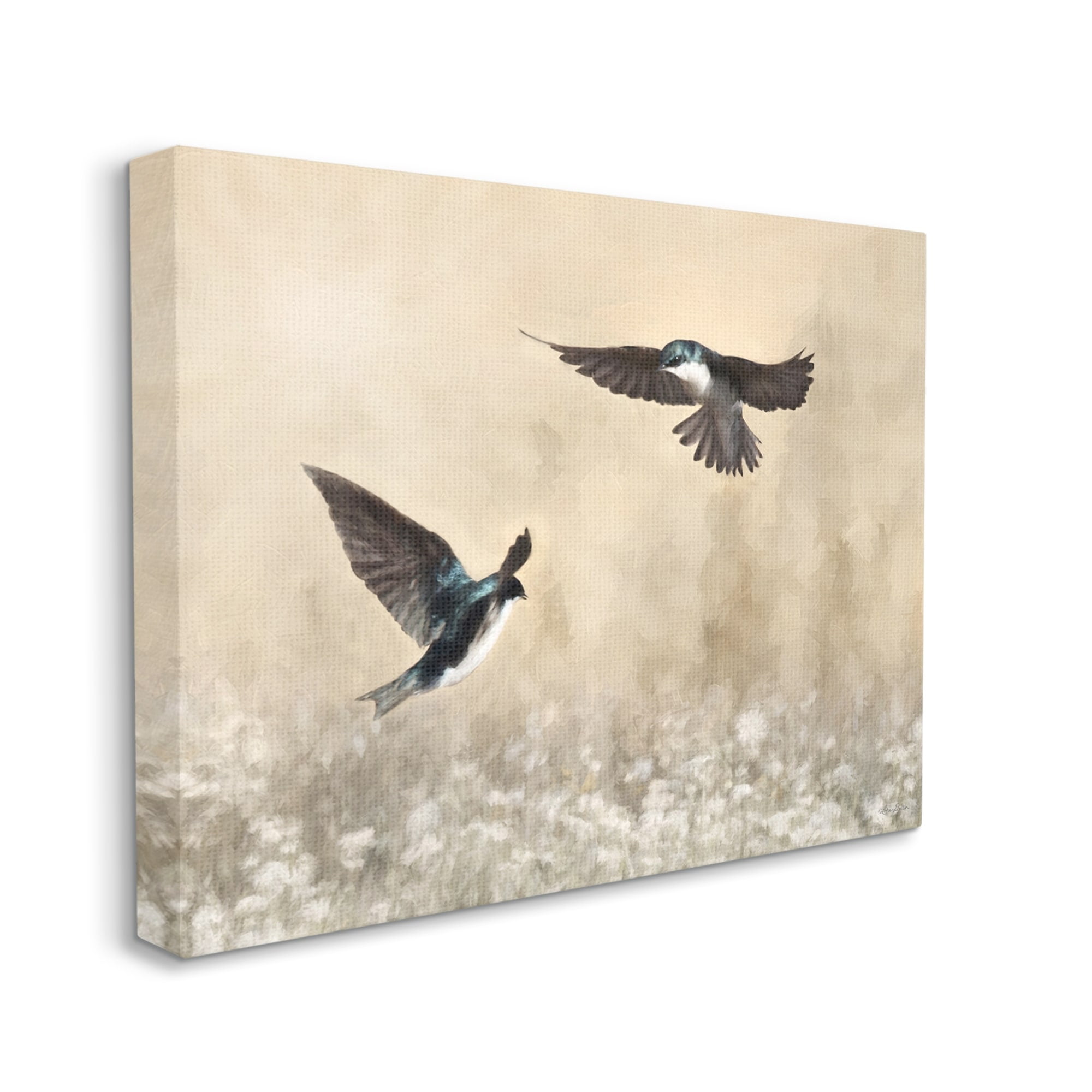 Stupell Two Birds Flying Nature Wildlife Animals & Insects Photography Gallery Wrapped Canvas Print Wall Art