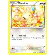 Pokemon Legendary Treasures Radiant Collection Common Minccino RC18