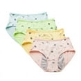thumbnail image 2 of 8-14T Teens Girls Cotton Underwear Hipster Briefs Undies Period Panties for Teenager Big Girls Pack of 4, 2 of 8