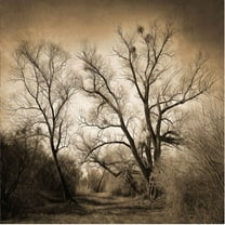 Trademark Fine Art "Sepia Ghost" Canvas Art by Philippe Sainte-Laudy