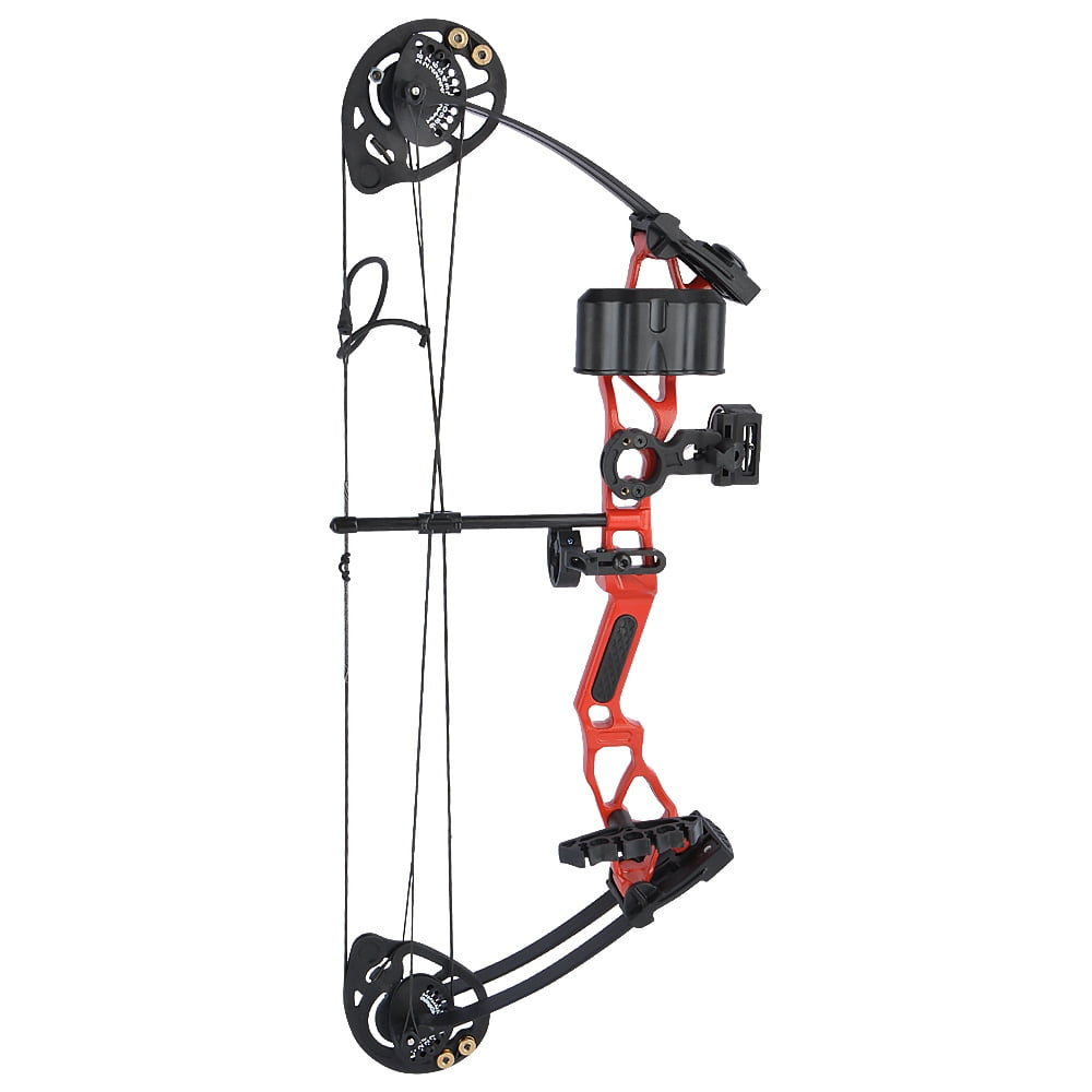 KAIMEI Compound Bow Package 14-40lbs Adjustable with 12 Pure Carbon Arrows 600 Spine, Halloween Pumpkin Target Papers, AMEpC Bow Bag for Hunting & Archery