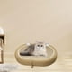 thumbnail image 1 of Rascador de sisal para gatos Yinane cama tipo lounge 60 cm x 40 cm x 10 cm, 1 of 8