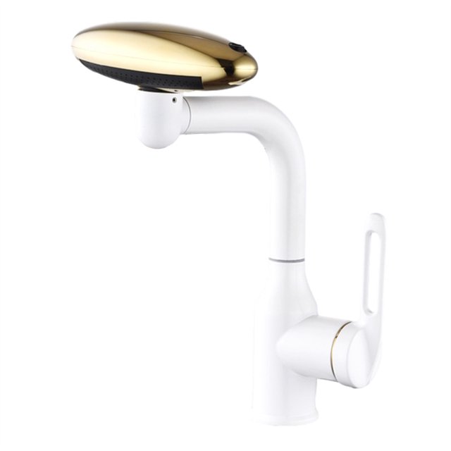 Robinet Pivotant pour Évier de Salle de Bain, Robinet de Cuisine, Pulvérisation Rotative Double Fonction, Robinet de Vanité à Poignée Unique pour Salle de Bain