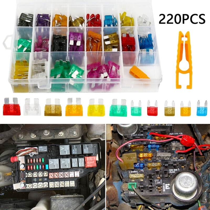 Willstar 220Pcs Car Blade Fuses Assortment Kit Automotive Fuses Standard & Mini Car Boat Truck SUV Automotive Replacement Fuses