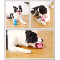 thumbnail image 3 of Juguete de cocodrilo para perros, bola de fugas, palo molar, cepillo de dientes para perros, paquete de 2 (rosa, verde) TUNC Sencillez, 3 of 5