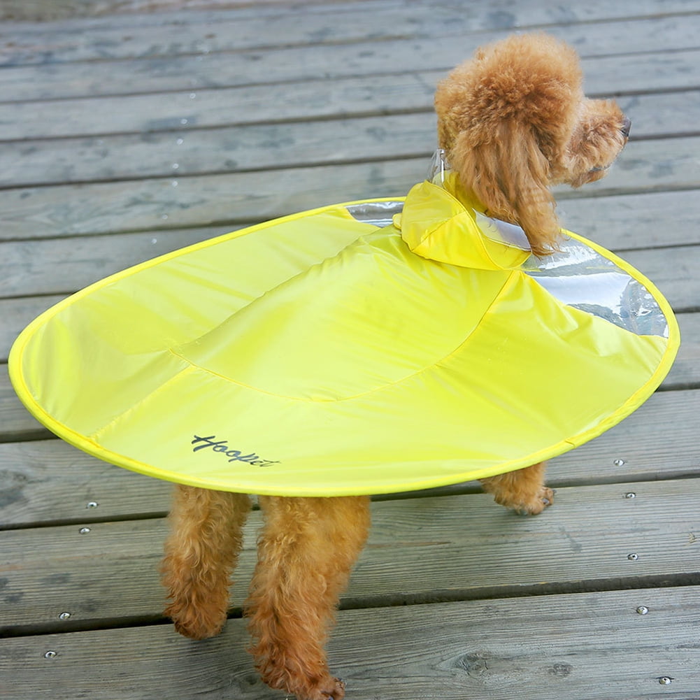 funny dog jackets