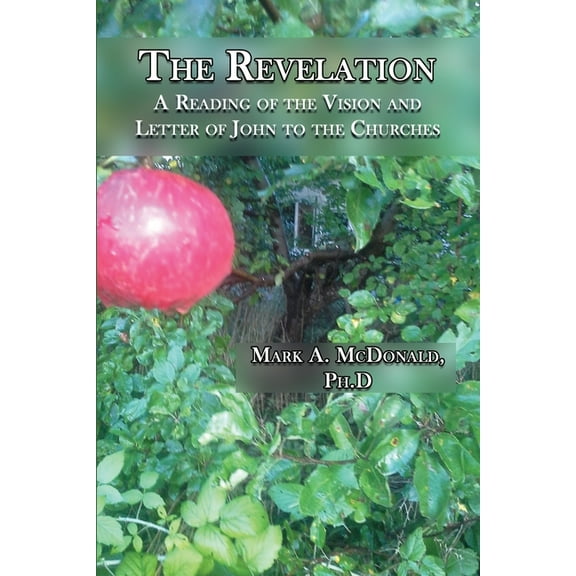 The Revelation: A Reading of the Vision and Letter of John to the Churches, (Paperback)