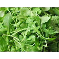 Herb Arugula, Roquette Seeds