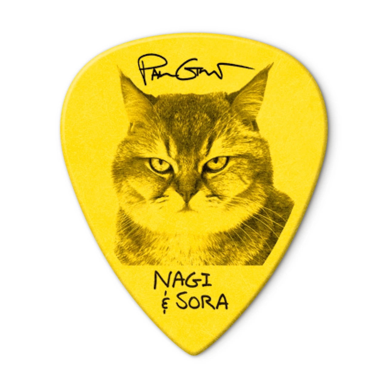 Dunlop Guitar Picks Paul Gilbert Custom Tortex III .73mm 24 Picks Custom Art