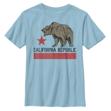 Boy s Lost Gods Hungry California Republic Bear Graphic Tee Light Blue X Large