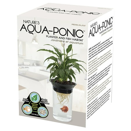 Penn Plax 0.5-Gallon Aquaponic Betta Fish Tank (Best Plants For Betta Tank)