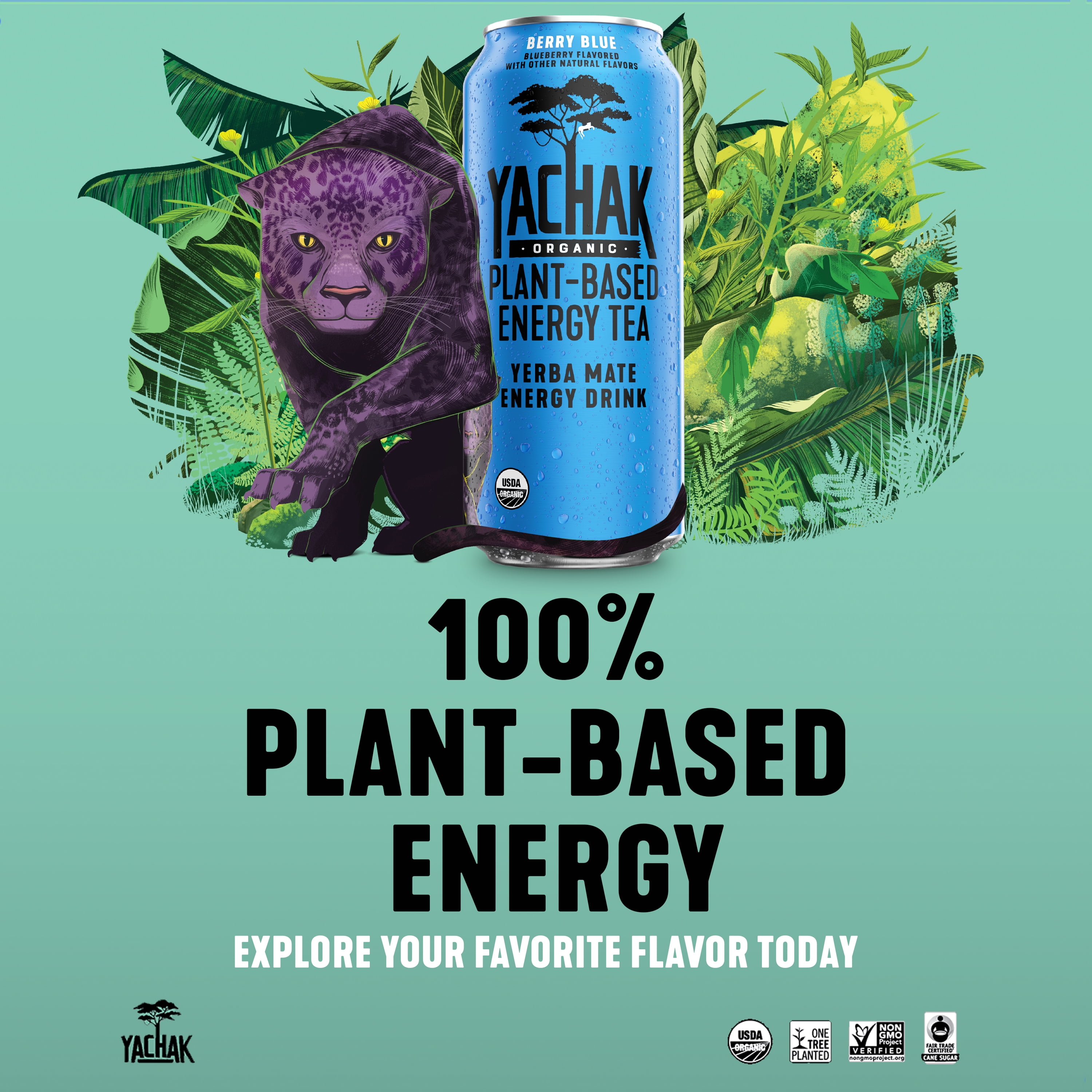 Yachak Yerba Mate Drink, Berry Blue, 16 fl oz, 12 Pack Cans