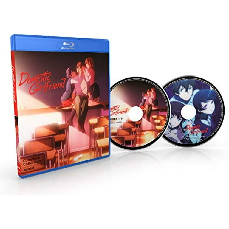 Buy Domestic Girlfriend DVD - $14.99 at