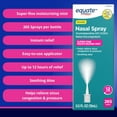 Equate Severe Nasal Spray Mist, Relief for Sinus & Nasal Congestion