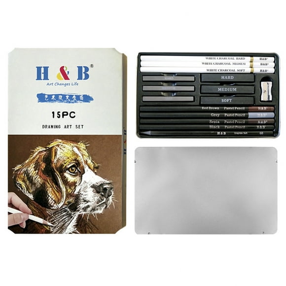 H&B 15PcsSet Art Supplies Drawing Kit White Charcoal and Pastel Pencils Set Painting Tools