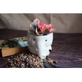thumbnail image 3 of Cotta Planters Elephant Succulent Planter Set, 2-Pack Mini Ceramic Animal Pots for Small Plants, Gray and White, 3 of 5