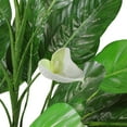thumbnail image 2 of Northlight 47.5" Tropical Peace Lily Spathe Artificial Potted Plant - Green/White, 2 of 4