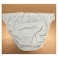 thumbnail image 2 of Charter Club Women's Everyday Cotton Bikini Underwear, Airy Blue, M, 2 of 2