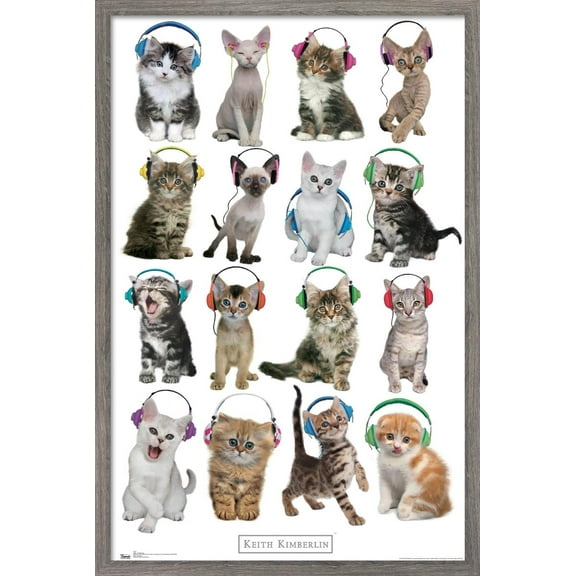 Keith Kimberlin - Kittens - Headphones Wall Poster, 22.375" x 34", Framed