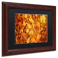 thumbnail image 3 of Trademark Fine Art "Variegated" Canvas Art by Philippe Sainte-Laudy Black Matte, Wood Frame, 3 of 5