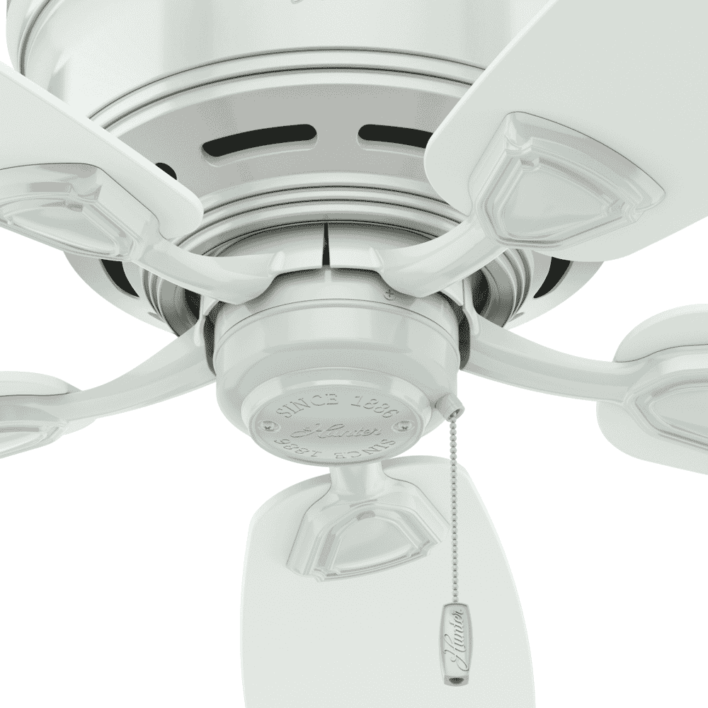 Hunter 53118 Transitional 48``Ceiling Fan from Sea Wind® Collection in Black Finish, 