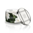 thumbnail image 2 of South Seas Gardenia Candle, 2 of 2