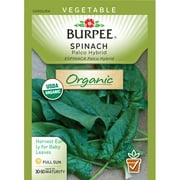Burpee-Spinach, Palco Hyb Organic Seed Packet
