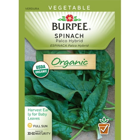 Burpee-Spinach, Palco Hyb Organic Seed Packet