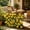 D, variant on Artificial Hedge Fence, Expandable Plants Garland Fake Green Plants for Home Decor Wall Fence Stairway Wedding