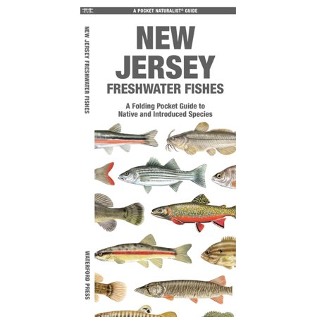 Nature Observation North America New Jersey Freshwater Fishes: A Folding Pocket Guide to Native and Introduced Species, (Paperback)