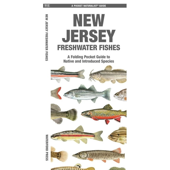 Nature Observation North America New Jersey Freshwater Fishes, (Paperback)
