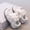 E129-Beige, variant on hengsof Girls' Mesh Athletic Shoes Stylish Bow Star Breathable Soft Sole Running Shoes Comfortable Flat Casual Shoes Solid Color Tennis Shoes for Spring Summer