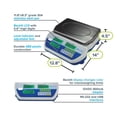 thumbnail image 4 of Cruiser Bench Counting Scales, 4 of 5